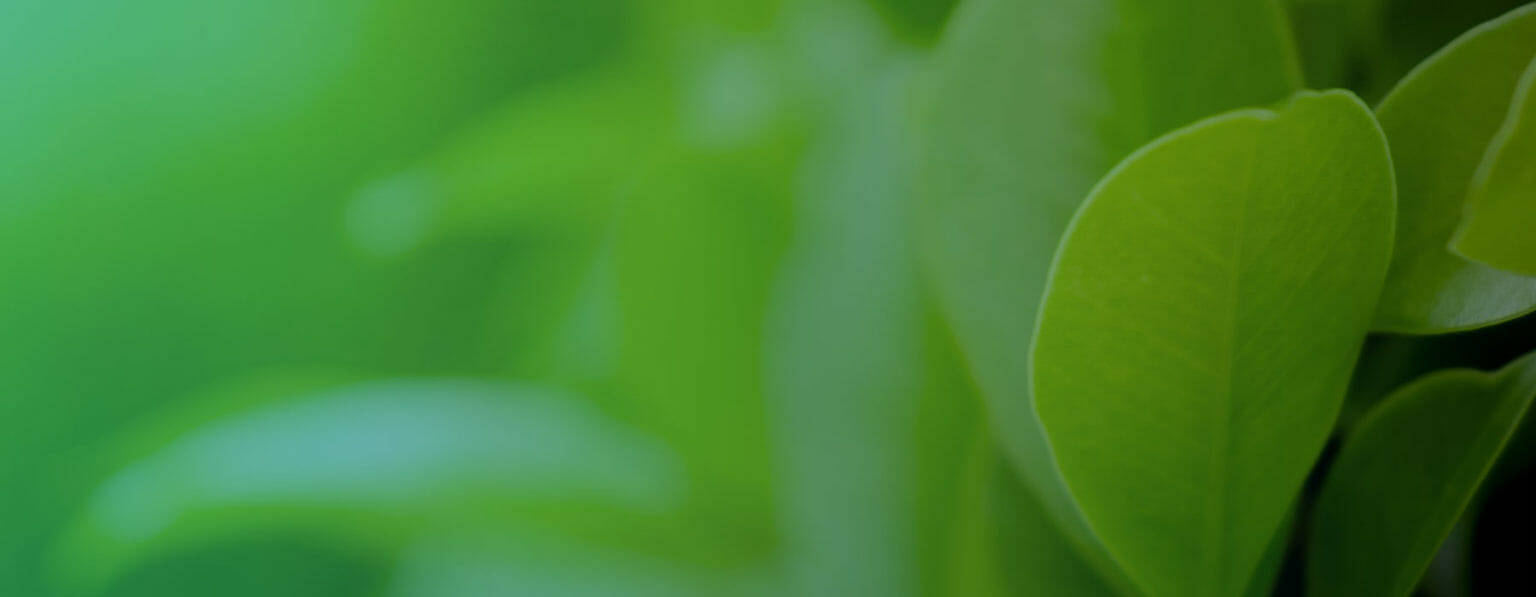 Donate – Clean Air Task Force