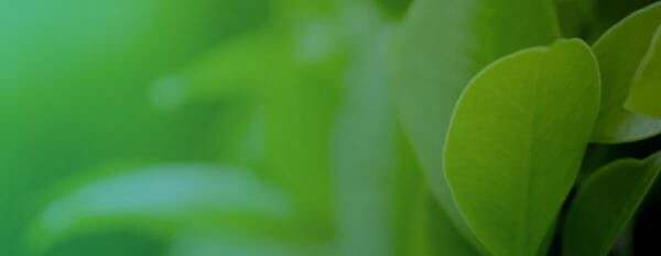 Donate – Clean Air Task Force