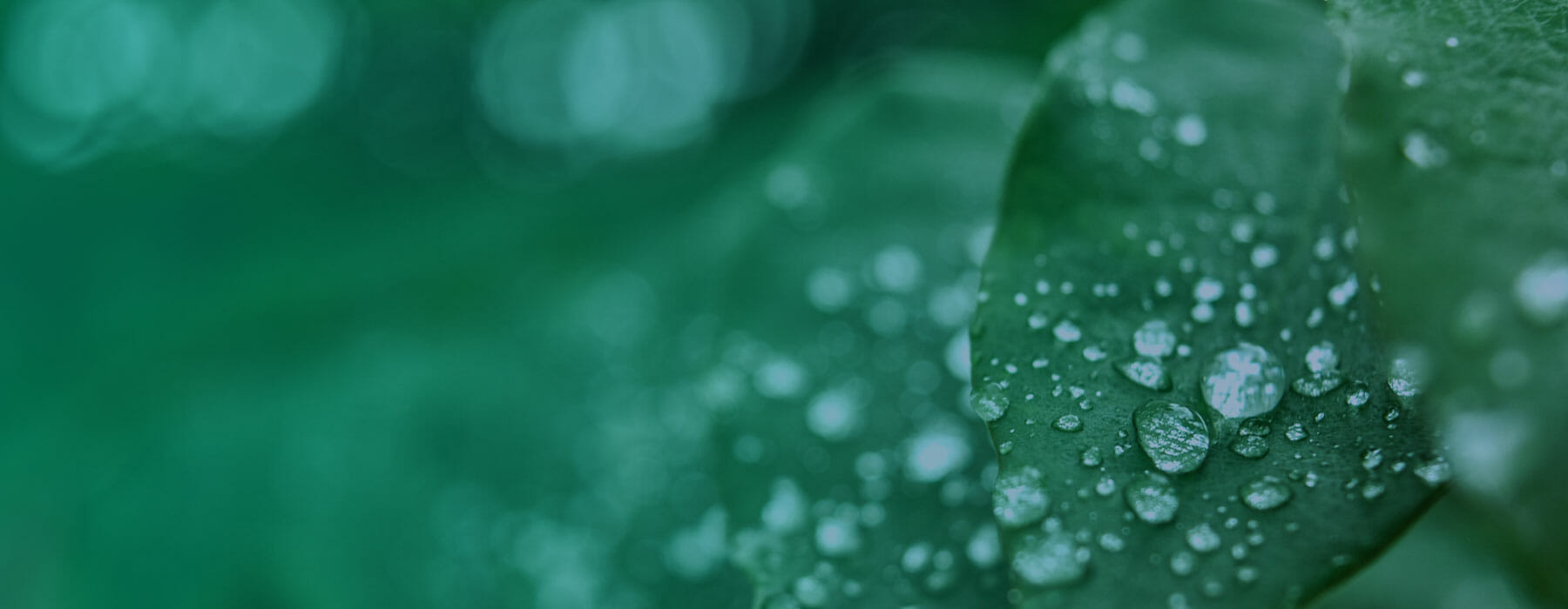 Donate – Clean Air Task Force