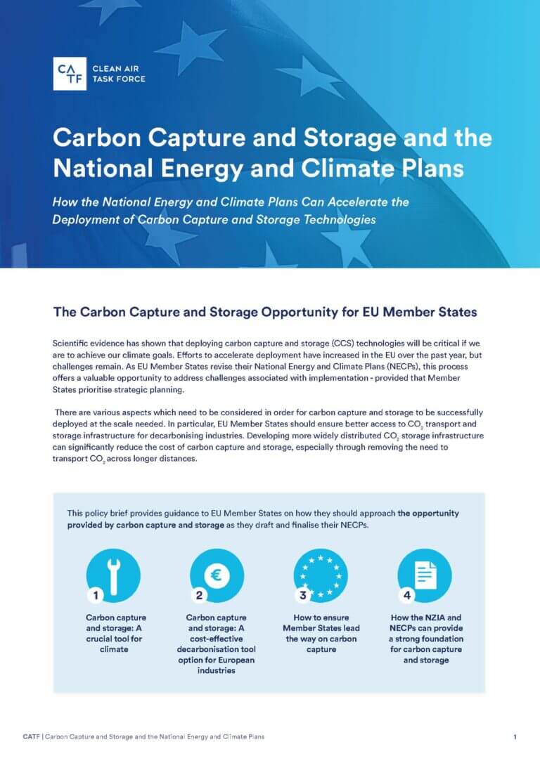 Carbon Capture and Storage and the National Energy and Climate Plans ...