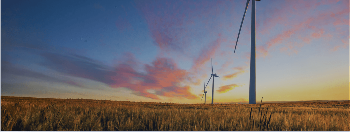 windmills