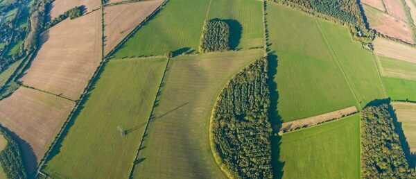 farmland