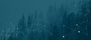 forest carbon protocols